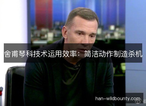 舍甫琴科技术运用效率：简洁动作制造杀机