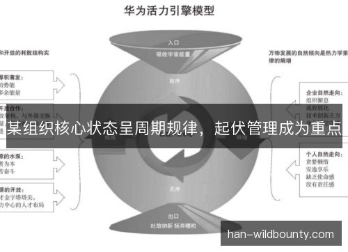 某组织核心状态呈周期规律，起伏管理成为重点